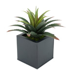 Faux Star Succulent in Black Square Zinc Pot