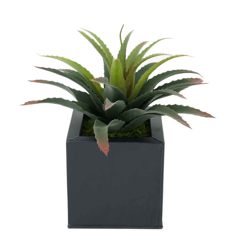 Faux Star Succulent in Black Square Zinc Pot