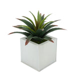 Faux Star Succulent in cream Square Zinc Pot