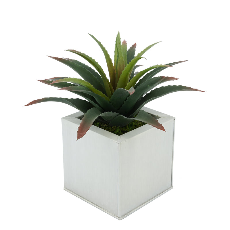 Faux Star Succulent in cream Square Zinc Pot