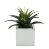 Faux Star Succulent in cream  Square Zinc Pot