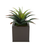 Faux Star Succulent in matte brown Square Zinc Pot