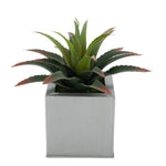 Faux Star Succulent in silver Square Zinc Pot