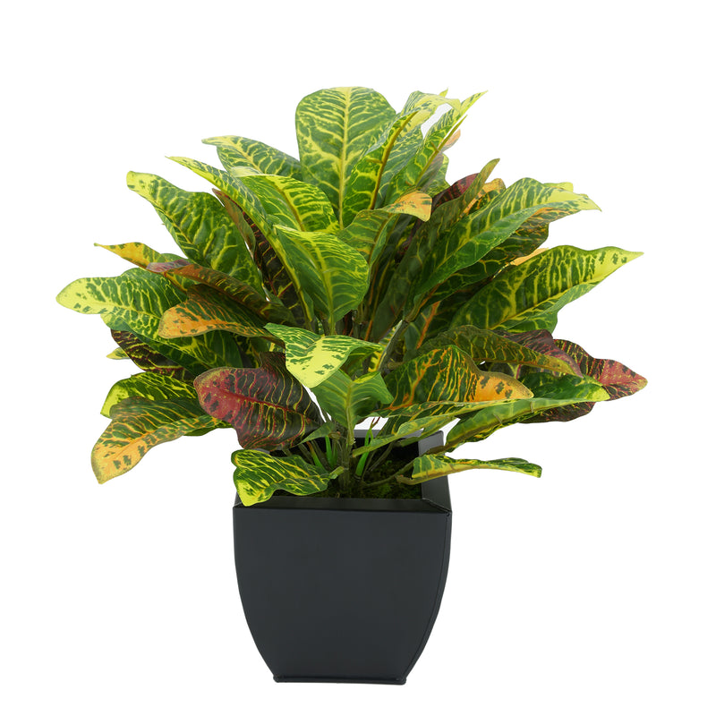 Faux Croton Houseplant in Black Tapered Zinc Pot