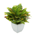 Faux Croton Houseplant in Cream Tapered Zinc Pot