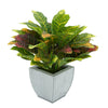 Faux Croton Houseplant in Farmhouse Tapered Zinc Pot