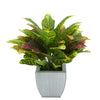 Faux Croton Houseplant in Farmhouse Tapered Zinc Pot