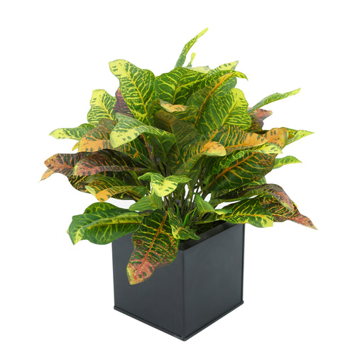 Faux Croton Houseplant in Black Square Zinc Pot