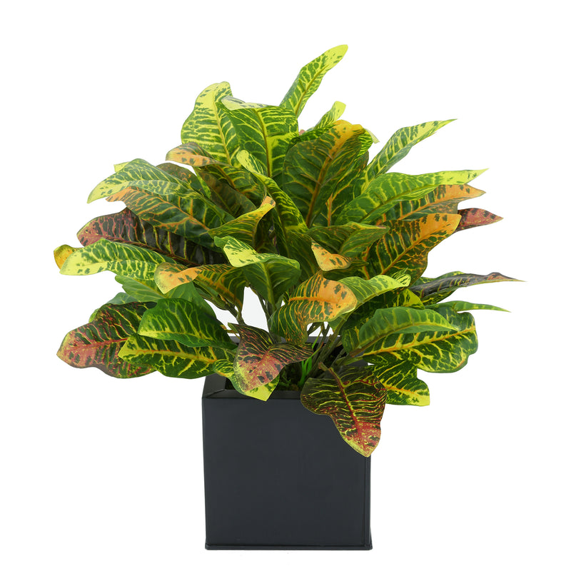 Faux Croton Houseplant in Black Square Zinc Pot