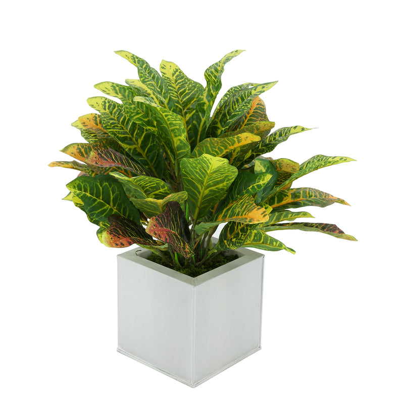 Faux Croton Houseplant in Cream Square Zinc Pot