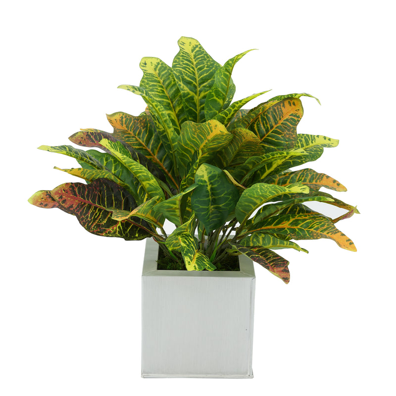 Faux Croton Houseplant in Cream Square Zinc Pot