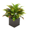 Faux Croton Houseplant in Matte Brown Square Zinc Pot