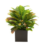 Faux Croton Houseplant in Matte Brown Square Zinc Pot