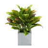 Faux Croton Houseplant in Farmhouse Square Zinc Pot