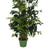 Faux 7ft Fishtail Palm Tree in Seagrass Basket