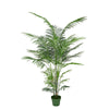 Faux 6ft Areca Palm Tree