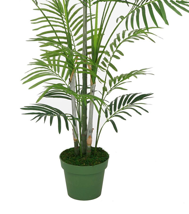 Faux 6ft Areca Palm Tree