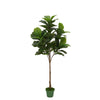 Faux 6ft Fiddle-Leaf Fig Tree