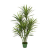 Faux 5ft Dracaena Tree with 9 Heads