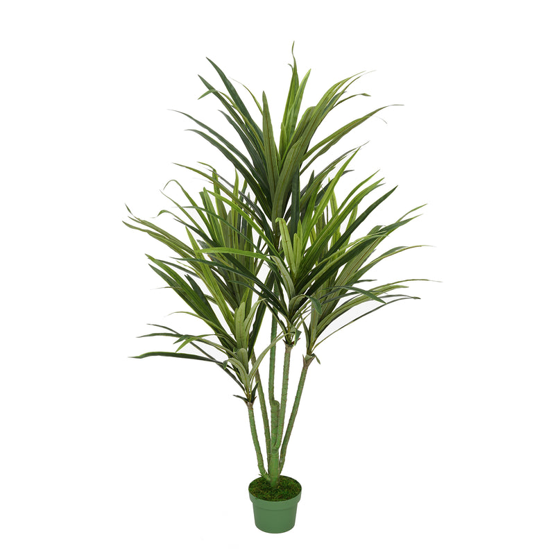 Faux 4ft Dracaena Tree with 5 Heads