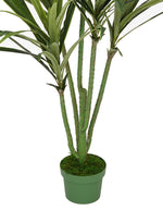 Faux 4ft Dracaena Tree with 5 Heads