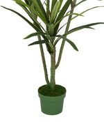 Faux 4ft Dracaena Tree with 4 Heads