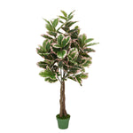 Faux 5ft Double Pink Edge Variegated Rubber Tree