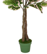 Faux 5ft Double Pink Edge Variegated Rubber Tree