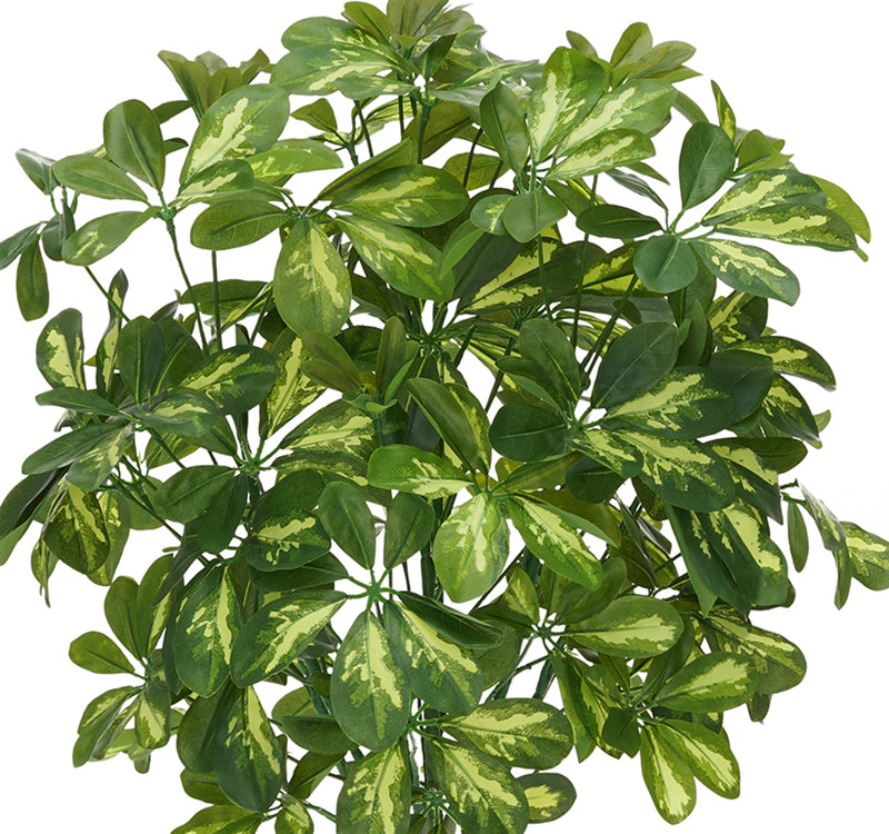 Faux 3ft Variegated Schefflera Topiary House of Silk Flowers®