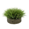 Frosted Farm Grass in Seagrass Tray Basket