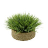 Frosted Farm Grass in Seagrass Tray Basket