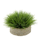 Frosted Farm Grass in Seagrass Tray Basket