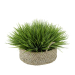 Frosted Farm Grass in Seagrass Tray Basket