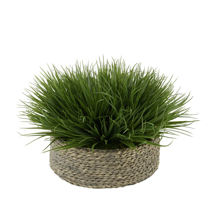 Green Farm Grass in Seagrass Tray Basket