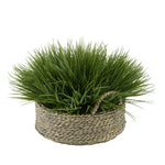 Green Farm Grass in Seagrass Tray Basket