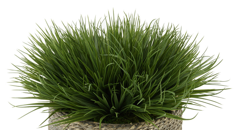 Green Farm Grass