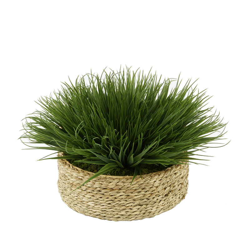 Green Farm Grass in Seagrass Tray Basket