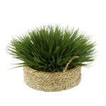 Green Farm Grass in Seagrass Tray Basket