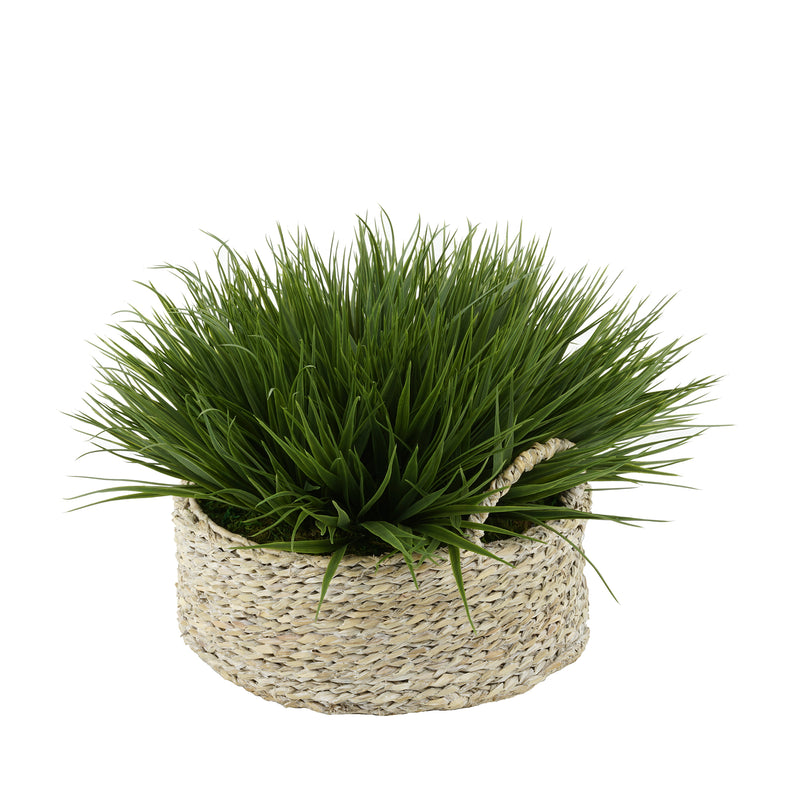 Green Farm Grass in Seagrass Tray Basket