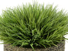 Faux Farm Grass in Large Seagrass Tray Basket