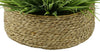 Faux Farm Grass in Large Seagrass Tray Basket