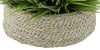 Faux Farm Grass in Large Seagrass Tray Basket