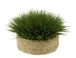 Faux Farm Grass in Large Seagrass Tray Basket