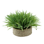 Faux Ribbon Grass in Large Seagrass Tray Basket