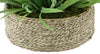 Faux Ribbon Grass in Large Seagrass Tray Basket