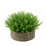 Faux Rosemary Grass in Large Seagrass Tray Basket