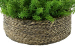 Faux Rosemary Grass in Large Seagrass Tray Basket