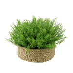 Faux Rosemary Grass in Large Seagrass Tray Basket