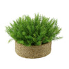 Faux Rosemary Grass in Large Seagrass Tray Basket