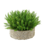 Faux Rosemary Grass in Large Seagrass Tray Basket